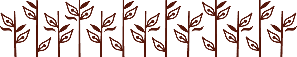 Producción de café en Chiapas