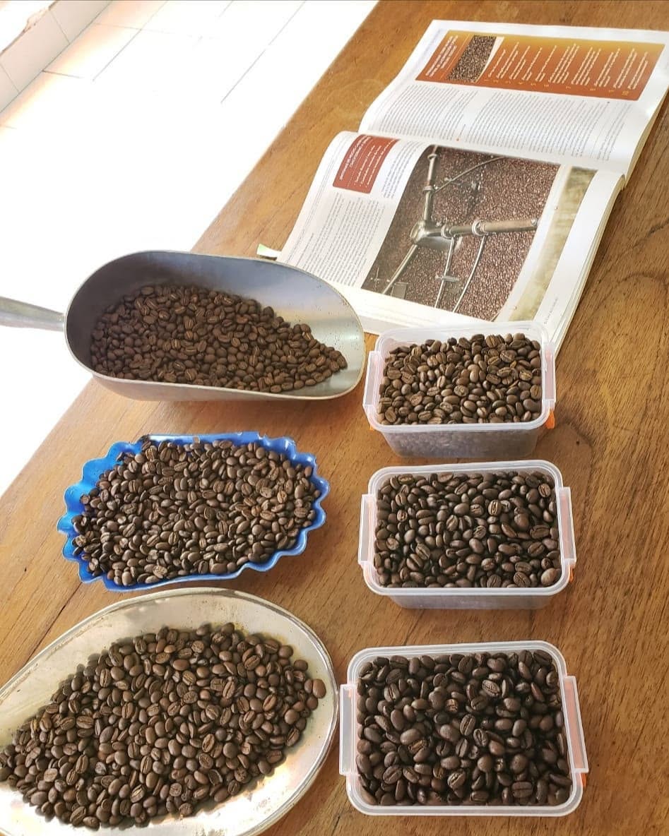 El Arte de la Catación: Aprende a Leer tu Taza de Café como un Experto