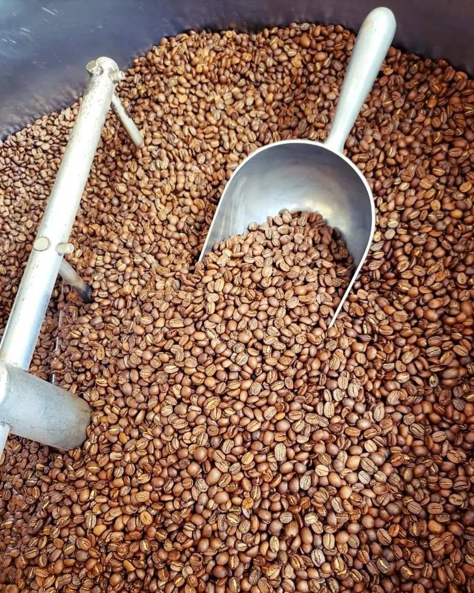 El Arte del Tueste Artesanal: Ciencia y Sensorialidad en la Tostadora de Café Santa María