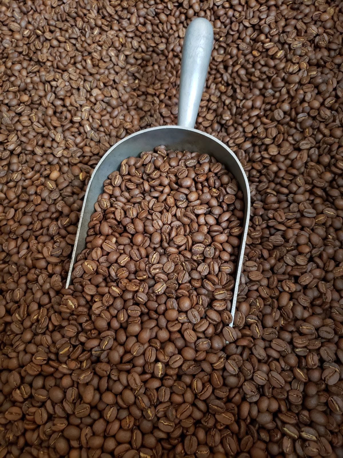 Tostado de café