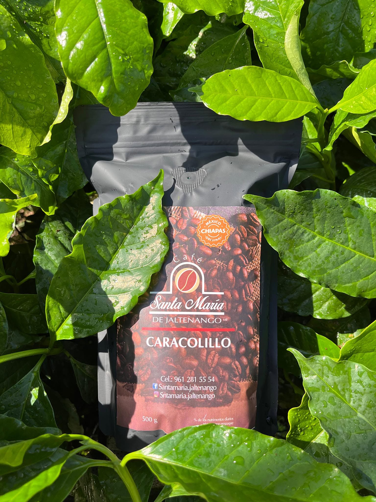 Caracolillo